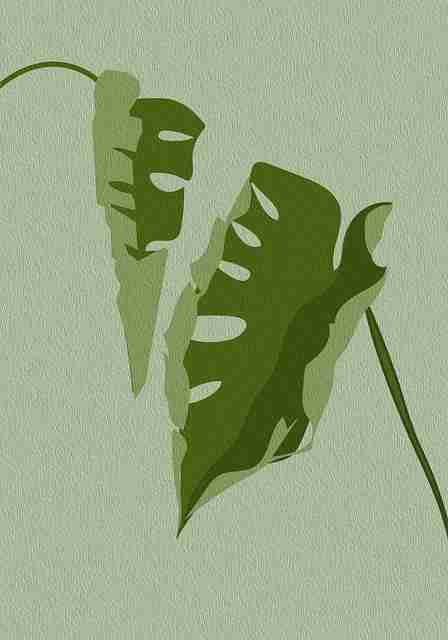 【复盘现场】每日大赛今日直播弹幕节奏波动分析,视角独特